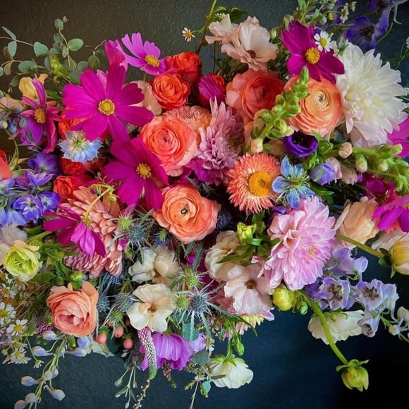 Lrknn's Closet Clean-out - Picture 1 of 1